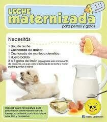 Leches Maternizadas
