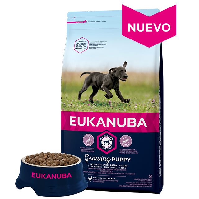 Eukanuba Criadores Cachorros Raza Grande 18 Kg ( Aportar Afijo )