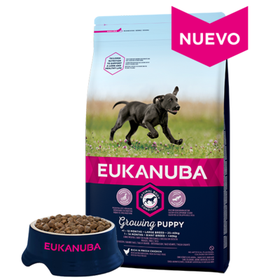 Eukanuba Criadores Cachorros Raza Grande 18 Kg ( Aportar Afijo )