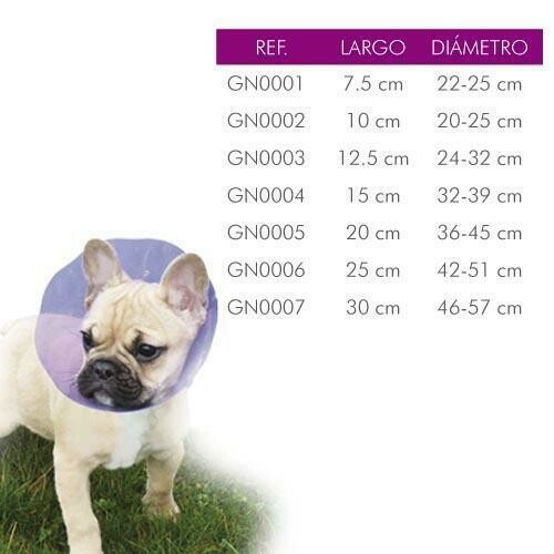 Protectores isabelinos de colores