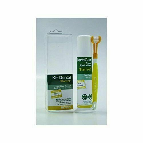 KIT DENTAL CEPILLO+PASTA