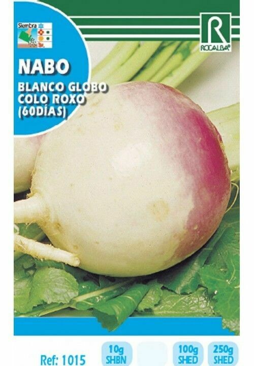 HORTALIZAS NABO BLANCO GLOBO COLO ROXO (60 DIAS)