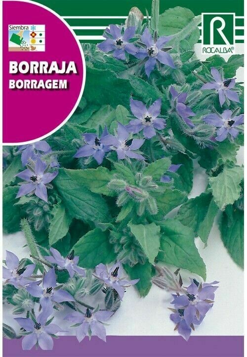 MEDICINALES, AROMATICAS Y CULINARIAS BORRAJA