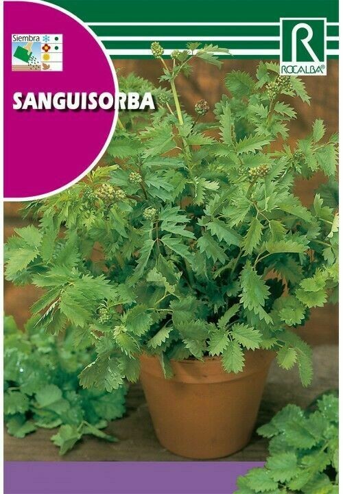 MEDICINALES, AROMATICAS Y CULINARIAS SANGUISORBA