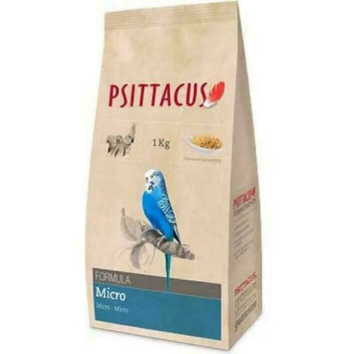 PSITTACUS MICRO PSITTACUS MICRO