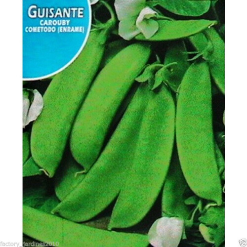 HORTALIZAS GUISANTE CAROUBY MEDIO ENRADE