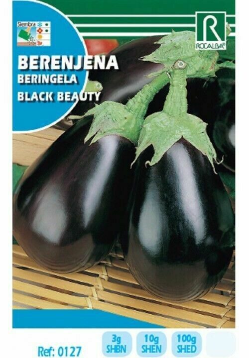 HORTALIZAS BERENJENA BLACK BEAUTY