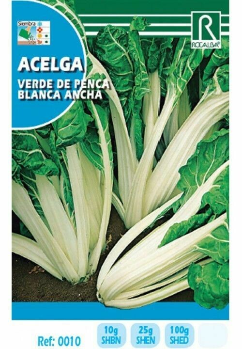 HORTALIZAS ACELGA VERDE DE PENCA BLANCA ANCHA