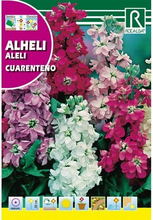 FLORES ALHELÍ CUARENTENO ANUAL DOBLE VARIADO