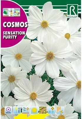 FLORES COSMOS SENSATION PURITY BLANCO