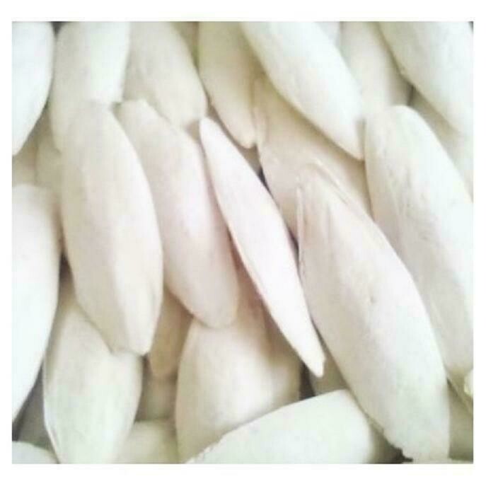 HUESO DE SEPIA PEQUEÑO 4 UNIDADES