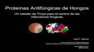 Antifúngicos