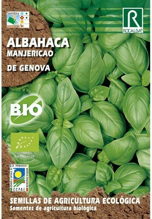 HORTALIZAS ECOLOGICAS ALBAHACA DE GENOVA
