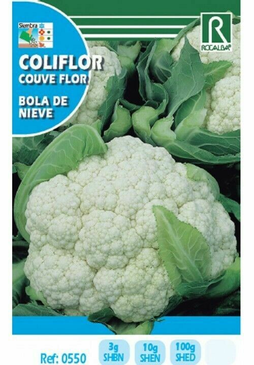 HORTALIZAS COLIFLOR BOLA DE NIEVE