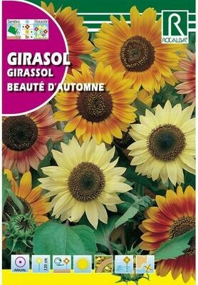 FLORES GIRASOL BEAUTÉ D’AUTOMNE VARIADO