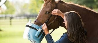 Sistema Respiratorio