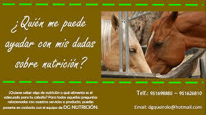 Dietéticos y Nutricionales