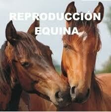 Reproducción