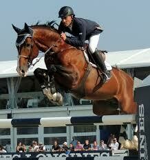 Entrenamiento y Competición