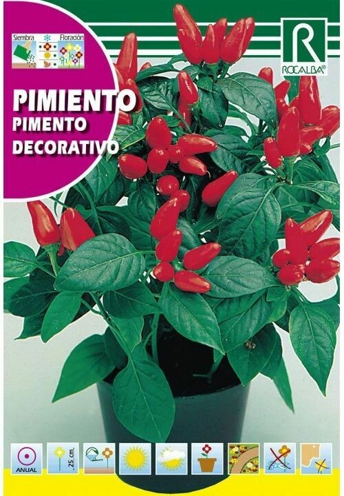 FLORES PIMIENTO DECORATIVO