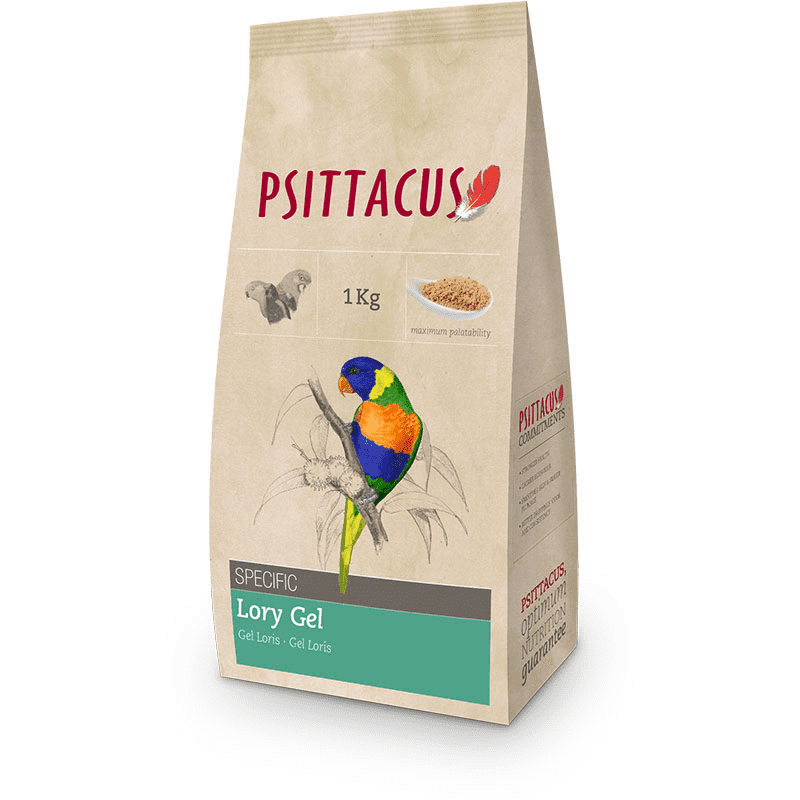 PSITTACUS LORY GEL