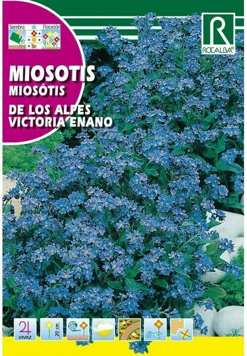 FLORES MIOSOTIS DE LOS ALPES VICTORIA ENANO AZUL