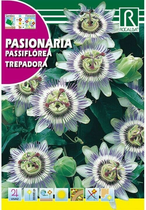 FLORES PASIONARIA