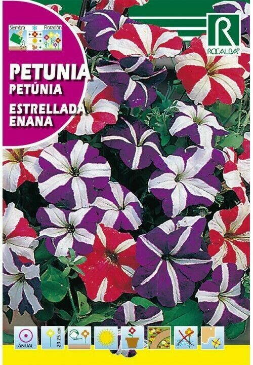 FLORES PETUNIA ESTRELLADA ENANA VARIADA