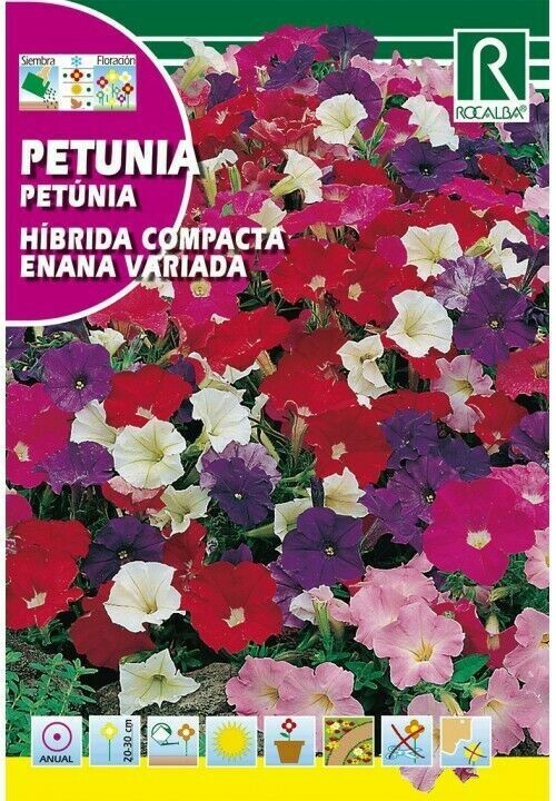 FLORES PETUNIA FLORES PETUNIA