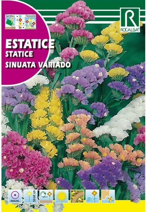 FLORES ESTATICE VARIADO FLORES ESTATICE VARIADO