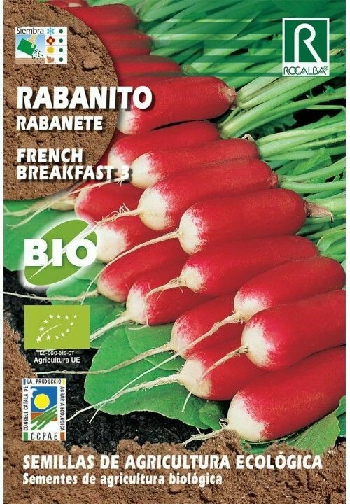 HORTALIZAS ECOLOGICAS RABANITO FRENCH BREAKFAST 3