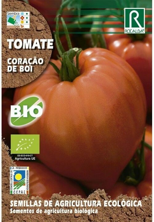 HORTALIZAS ECOLOGICAS TOMATE CORAÇAO DE BOI