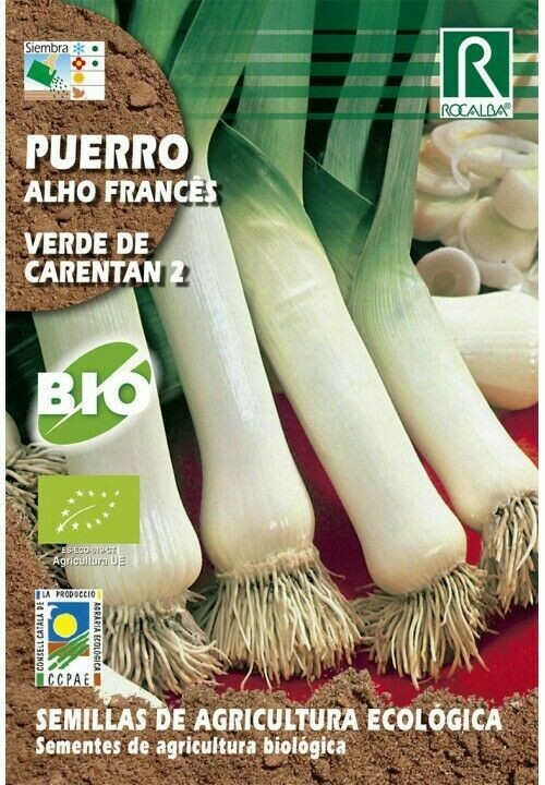 HORTALIZAS ECOLOGICAS PUERRO VERDE DE CARENTAN 2
