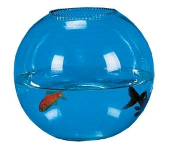 Pecera de Cristal color cristal Pecera