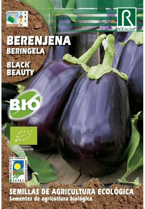 HORTALIZAS ECOLOGICAS BERENJENA BLACK BEAUTY