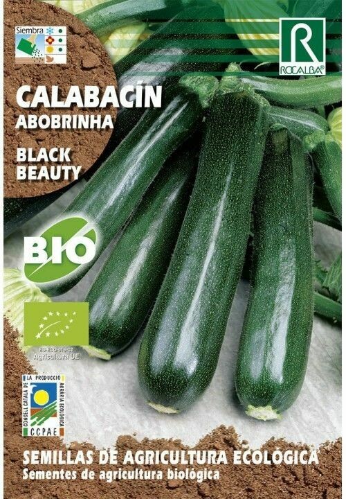 HORTALIZAS ECOLOGICAS CALABACIN BLACK BEAUTY