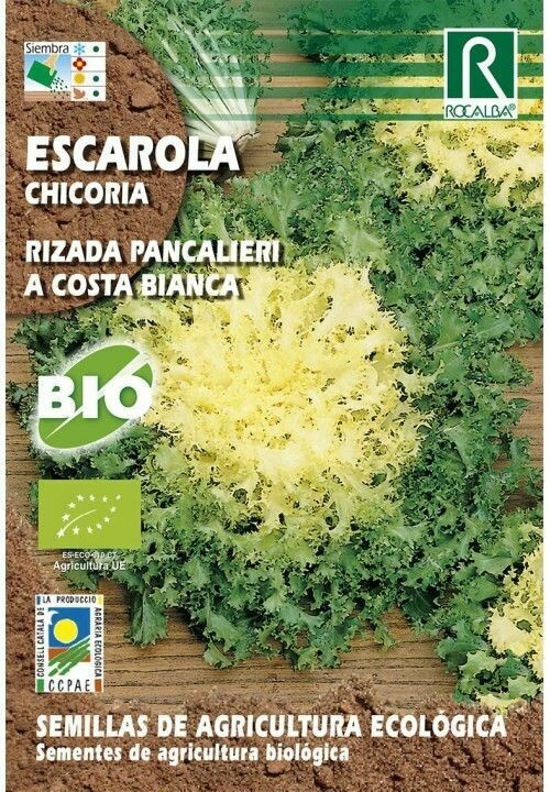 HORTALIZAS ECOLOGICAS ESCAROLA RIZADA PANCALIERI A COSTA B