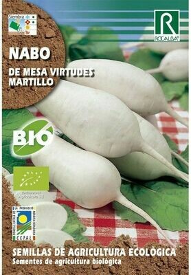 HORTALIZAS ECOLOGICAS NABO VIRTUDES MARTILLO