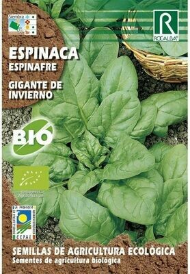 HORTALIZAS ECOLOGICAS ESPINACA GIGANTE DE INVIERNO