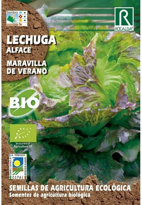 HORTALIZAS ECOLOGICAS LECHUGA MARAVILLA DE VERANO