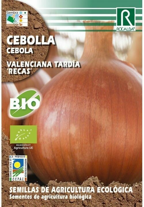 HORTALIZAS ECOLOGICAS CEBOLLA VALENCIANA TARDIA "RECAS"