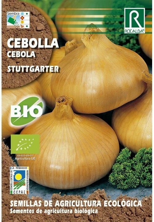 HORTALIZAS ECOLOGICAS CEBOLLA STUTTGARTER