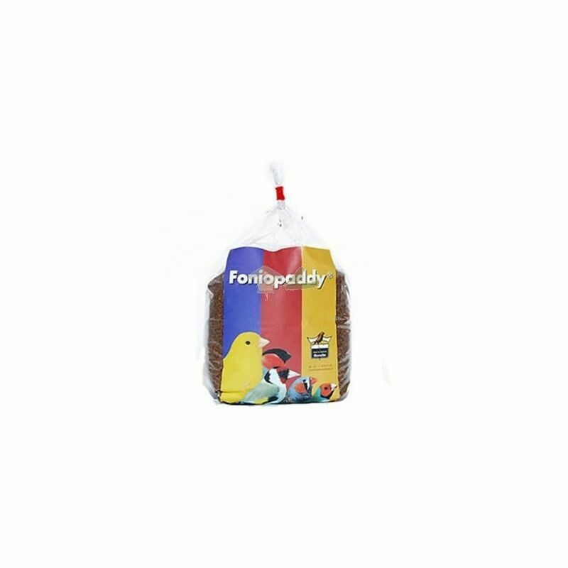 FONIO PADDY | SEMILLA ANTICOCCIDIOSICA 1000 GRS