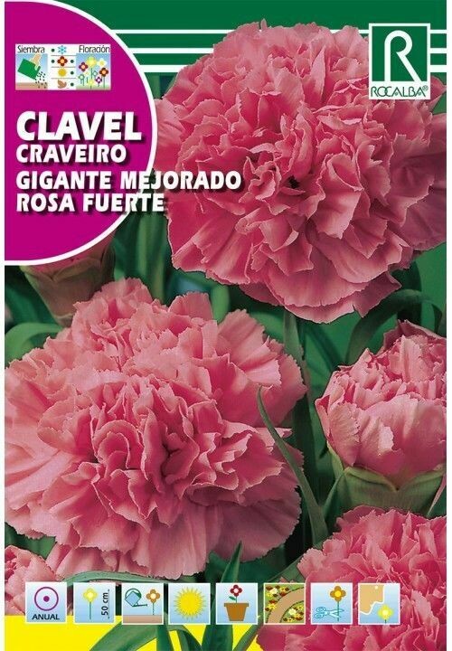 FLORES CLAVEL GIGANTE MEJORADO ROSA FUERTE