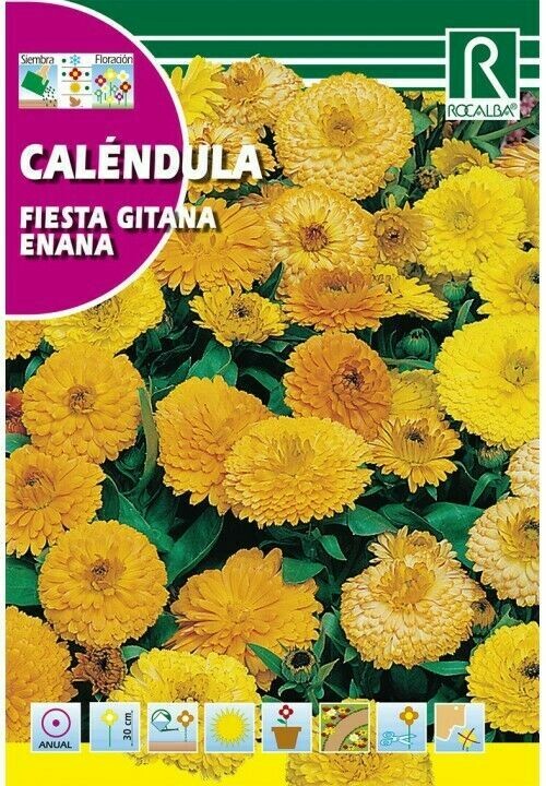 FLORES CALENDULA FIESTA GITANA ENANA FLORES CALENDULA FIESTA GITANA ENANA