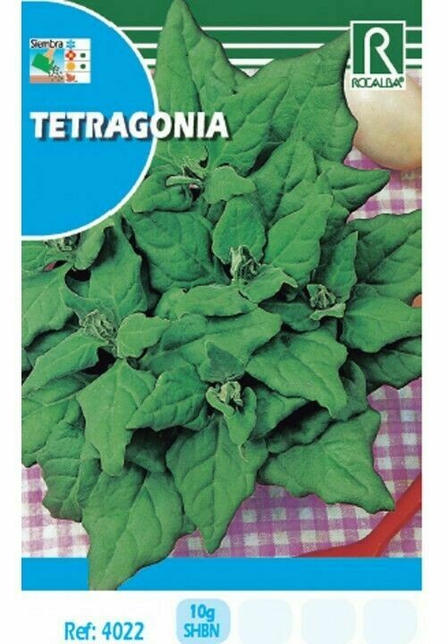 HORTALIZAS TETRAGONIA