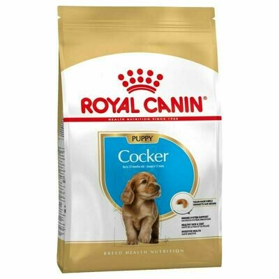 ROYAL CANIN COCKER JUNIOR PERRO 1 KG