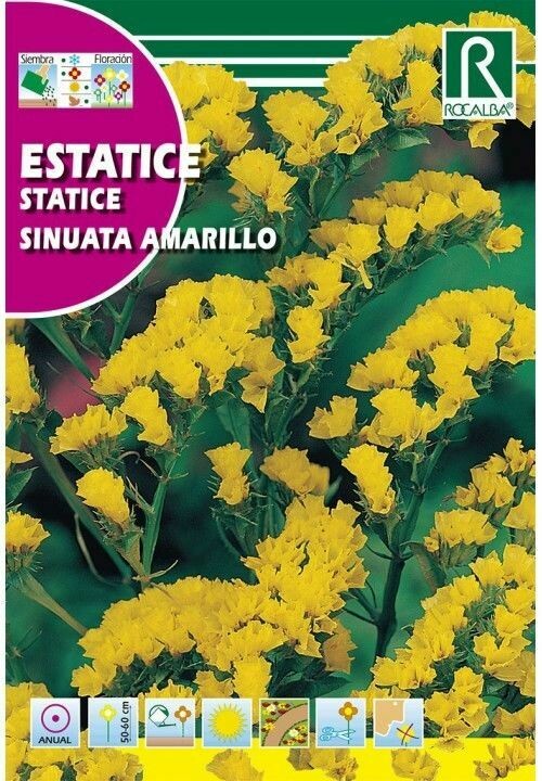 FLORES ESTATICE SINUATA AMARILLO