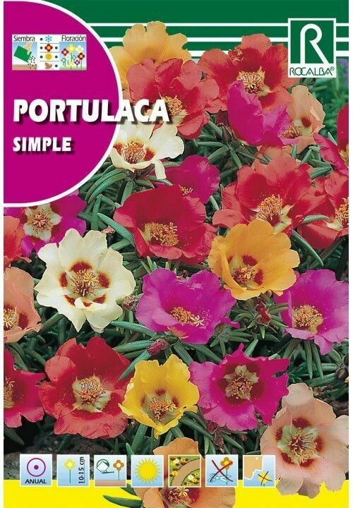 FLORES PORTULACA SIMPLE VARIADA