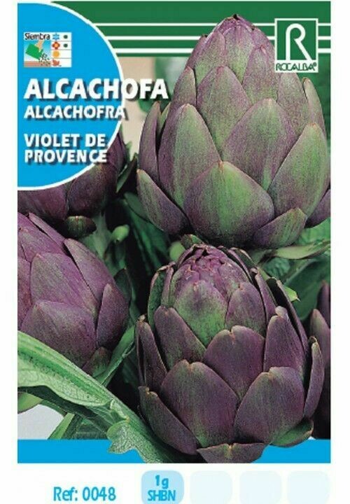 HORTALIZAS ALCACHOFA VIOLET DE PROVENCE